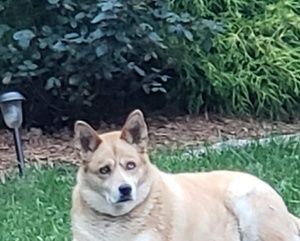 Meet your Posher, Richard